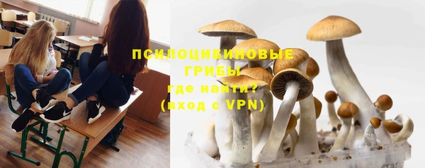 спиды Новодвинск