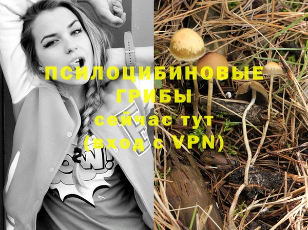 герыч Новокубанск