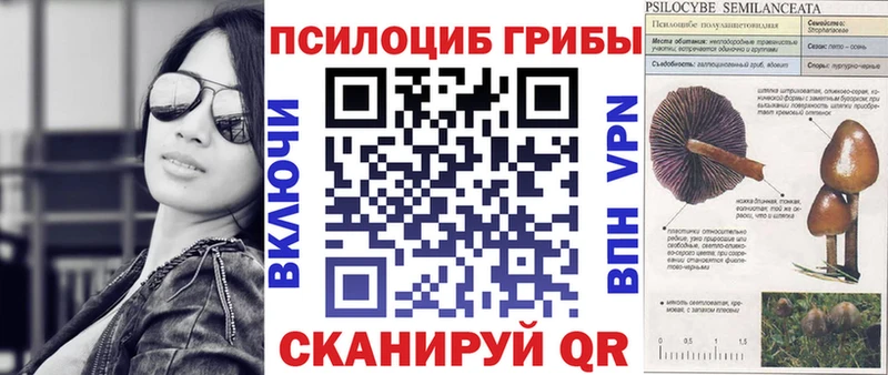 Галлюциногенные грибы MAGIC MUSHROOMS  KRAKEN как войти  Харовск 